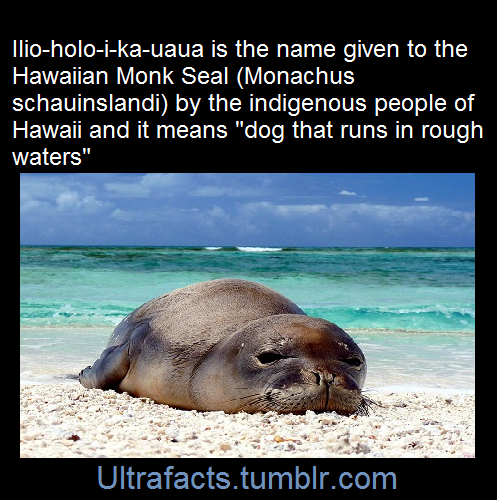 ultrafacts:Fact Sources: [1] [2]Follow Ultrafacts for more...