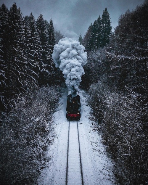 quiet-nymph:Don‘t miss your train to Hogwarts –Niels...