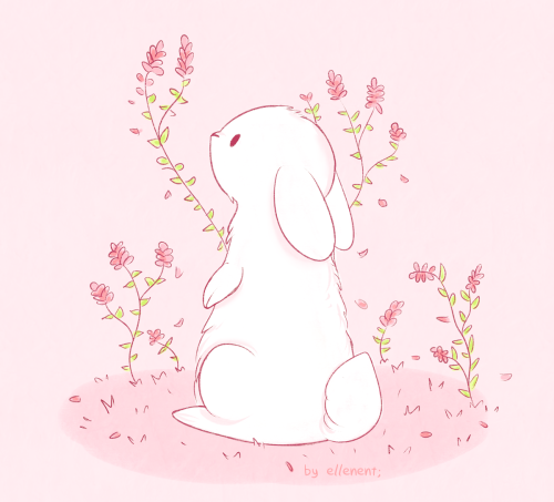 ellenent:I love bunnies