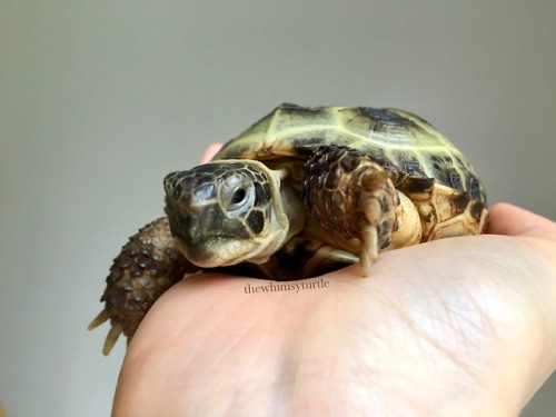 Sunday snuggles with Mom!  It may look like Mom’s hand is still...