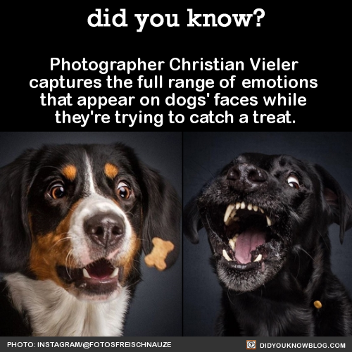 did-you-kno:Photographer Christian Vieler captures the full...