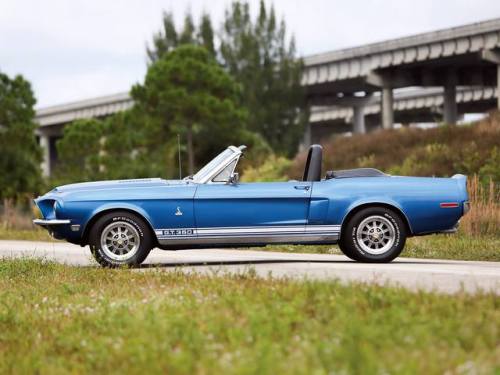 mustanglegendarymachine:1968 Shelby Cobra GT350...