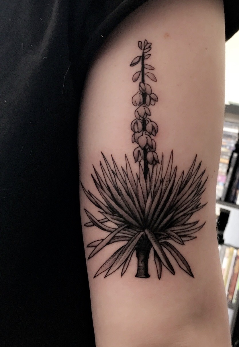 yucca tree tattoo.