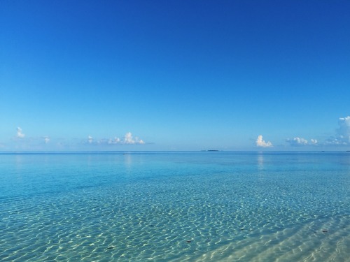 teasmoked:shades of transparent blue. maldives, summer 2015.