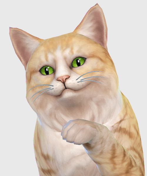 sims 4 dog eyes cc non default sims 4 dog eyes cc non default
