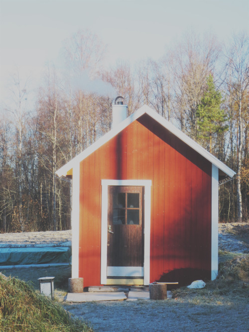 tinyhouse cabin compactliving cabinporn