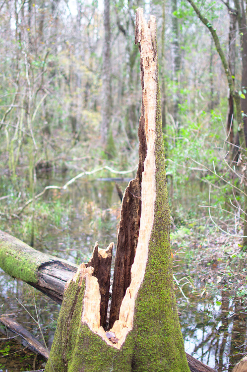 Wakulla Springs State Park