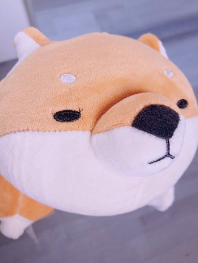 shiber plush ateez