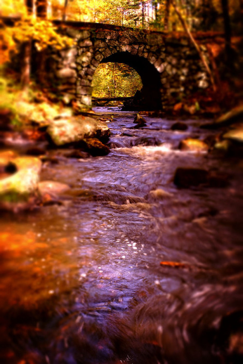 gbiechele:Bridge FlowMinolta MD 50mm f/1.2 lens on Sony A7.