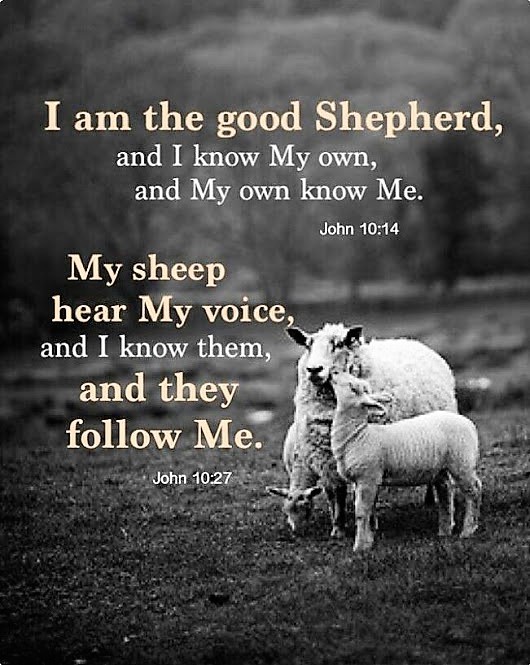 The Living... — John 10:14 (ESV) - I am the good shepherd. I know...