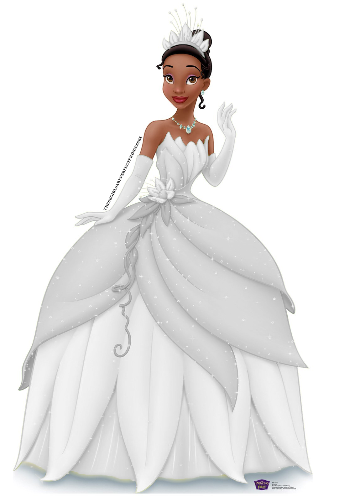 Download - Transparent Princesses match your blog... | Disney Will Thaw