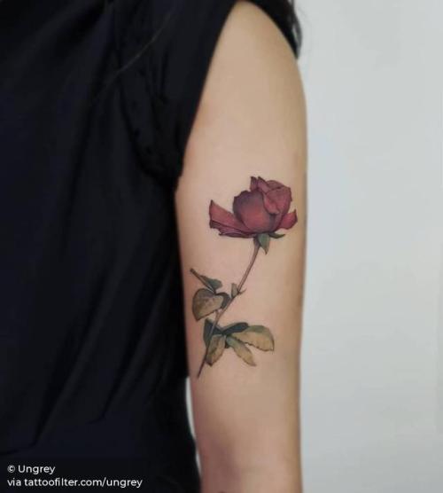By Ungrey, done in Seoul. http://ttoo.co/p/187893 flower;small;tiny;ungrey;rose;ifttt;little;nature;realistic;medium size;upper arm
