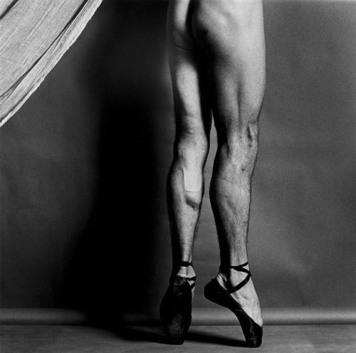 roertmapplethorpebodies: © Robert Mapplethorpe Foundation