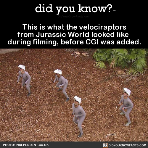 this-is-what-the-velociraptors-from-jurassic-world