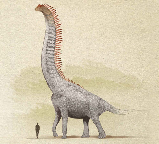 A Dinosaur A Day · Sauroposeidon proteles