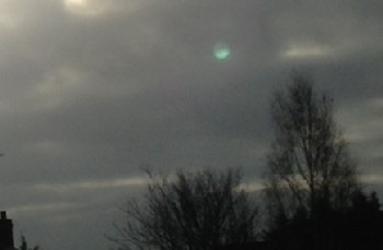trees orbs