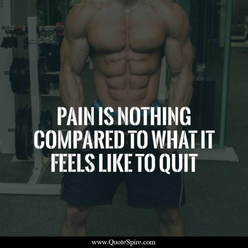 Gym Quotes Buy Now
