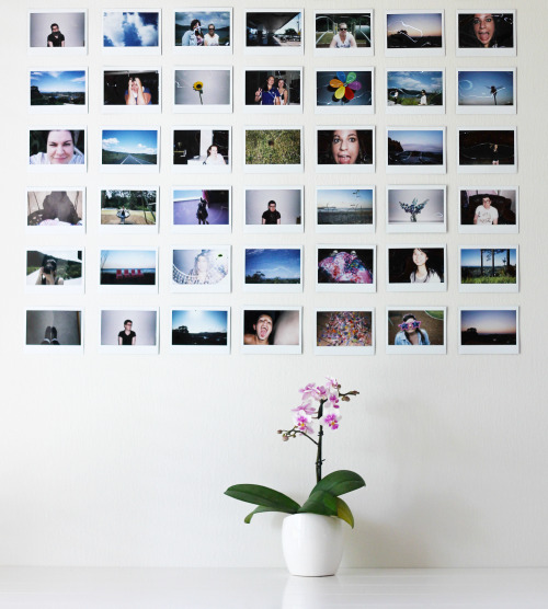 polaroid wall on Tumblr