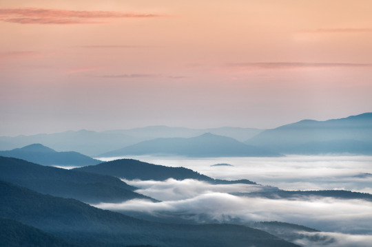 Above the Clouds. Shot at Sunrise near Mt. Mitchell over looking the Blue Ridge Mountains.