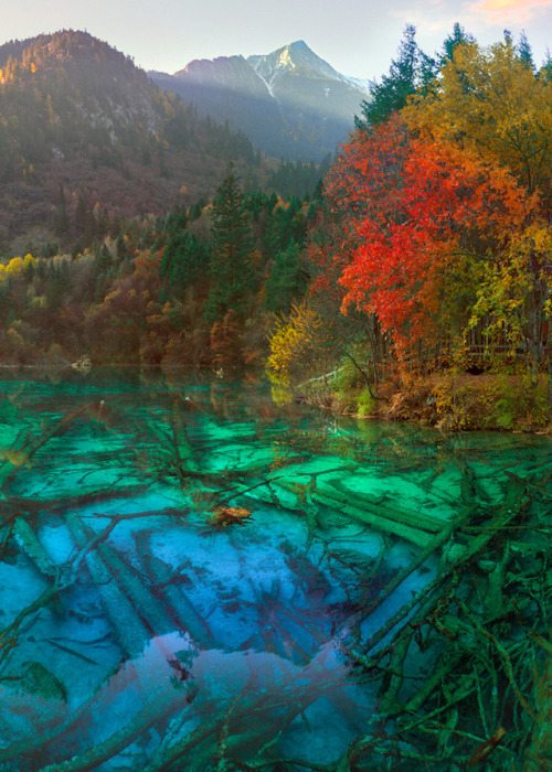 Colors speak louder than words - Jiuzhaigou, China (by Milamai)