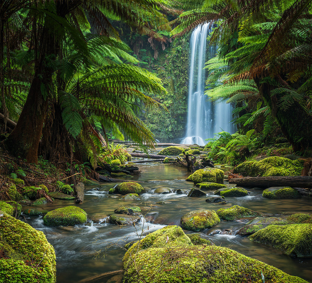 Pack up and go. — exploreelsewhere: Great Otway National Park,...