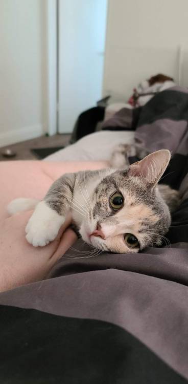 hitmewithcute
