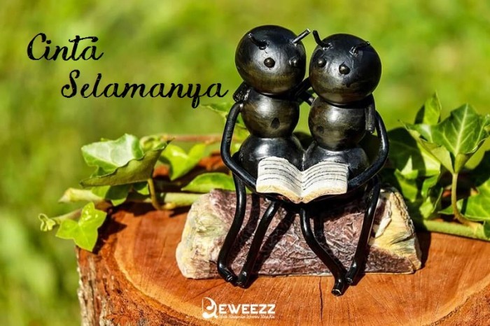 Deweezz Com Kumpulan Contoh Pantun Cinta Paling Romantis Di