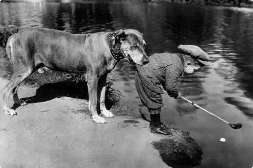 adorable cool 20s 20s style 20s fashion 1920s fashion 1920s style vintage history vintage fashion Lost in History dog friends 1920s