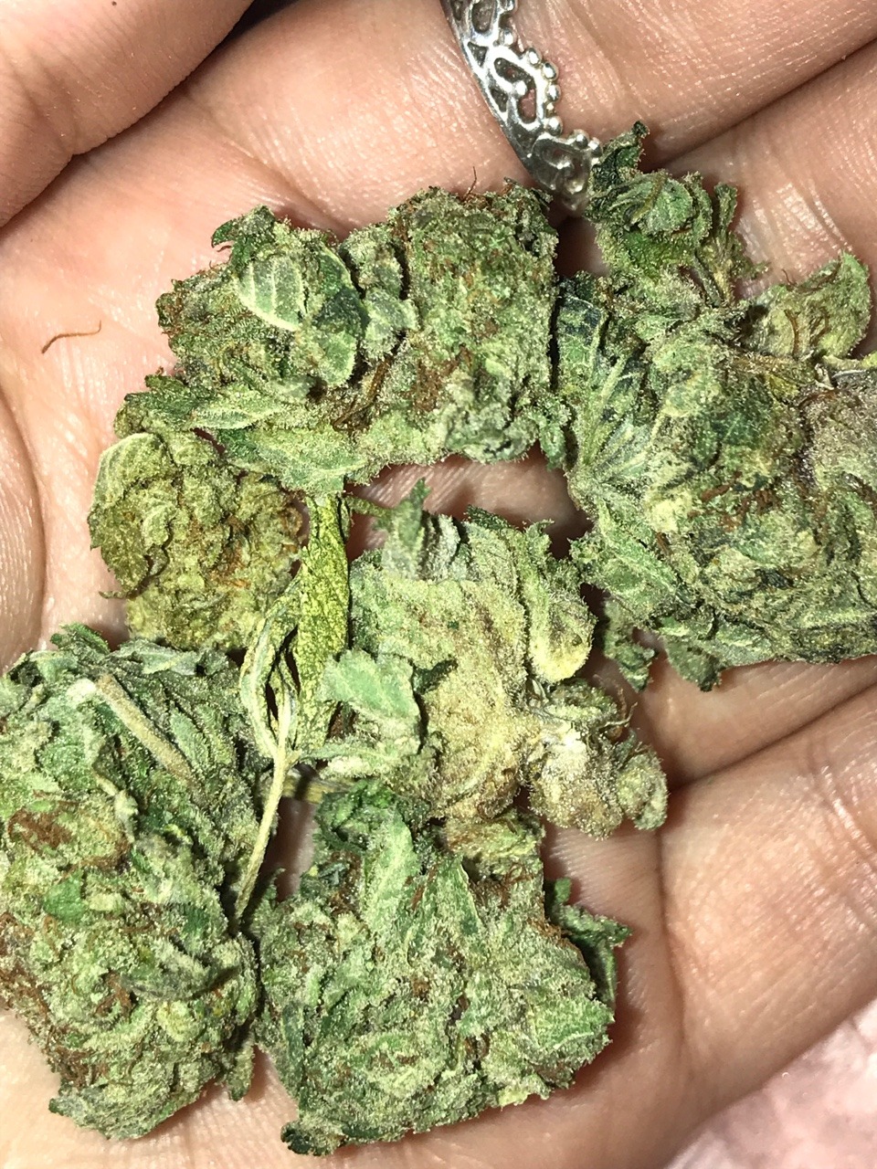 pinner blunt pinner blunt