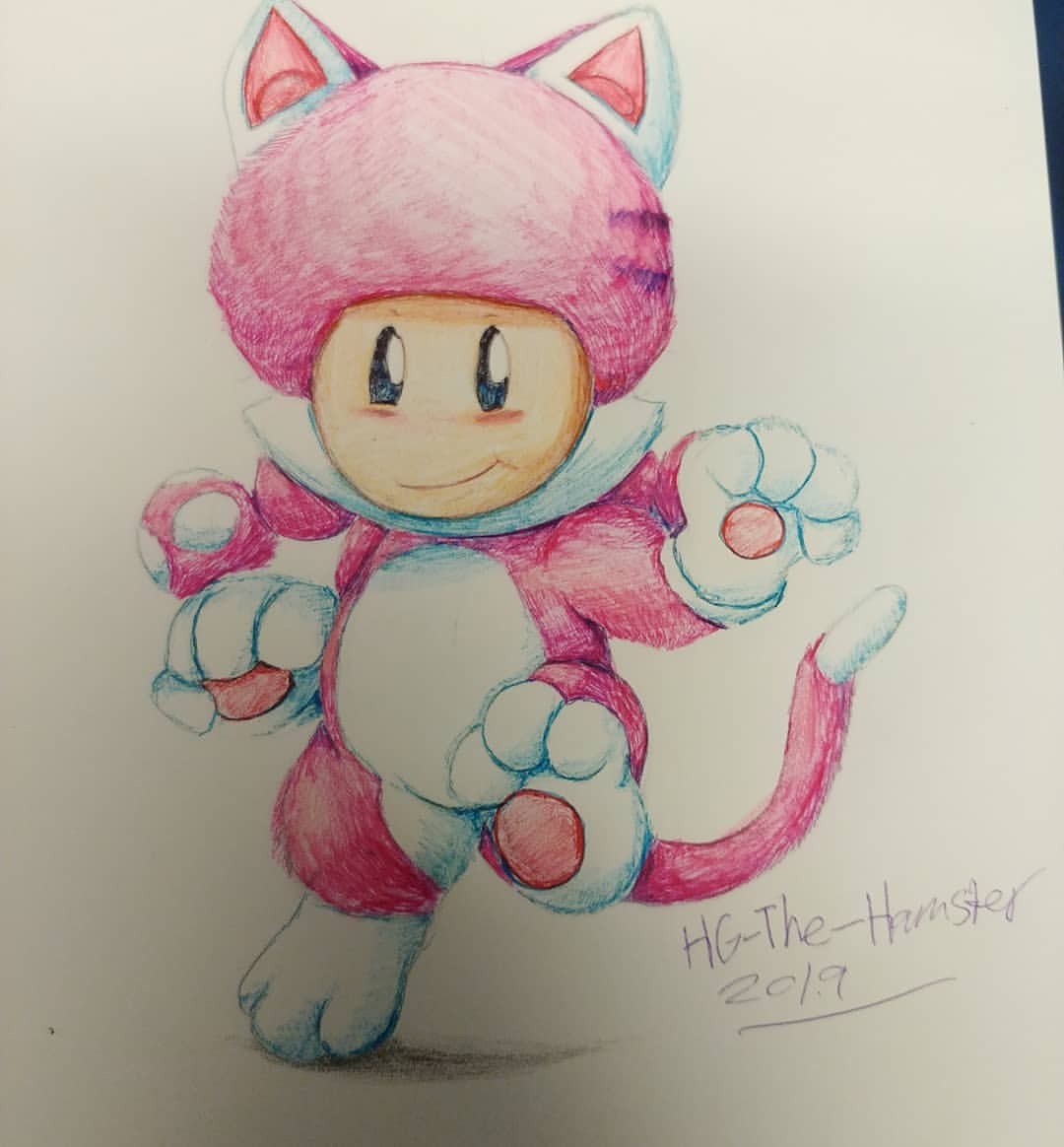 Toadette Catsuit Porn - I'm not active here much â€” Cat toadette is canon ...