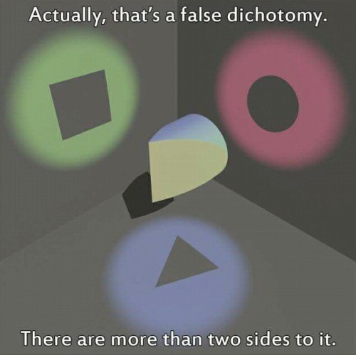 posterboy4duality:Each person does see the world in a...