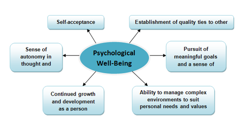 RYFF THEORY OF PSYCHOLOGICAL WELL-BEING / YOUR DECISION. YOUR CHOICE.