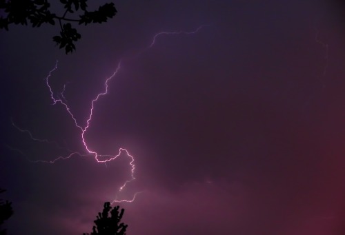 cgclarkphoto