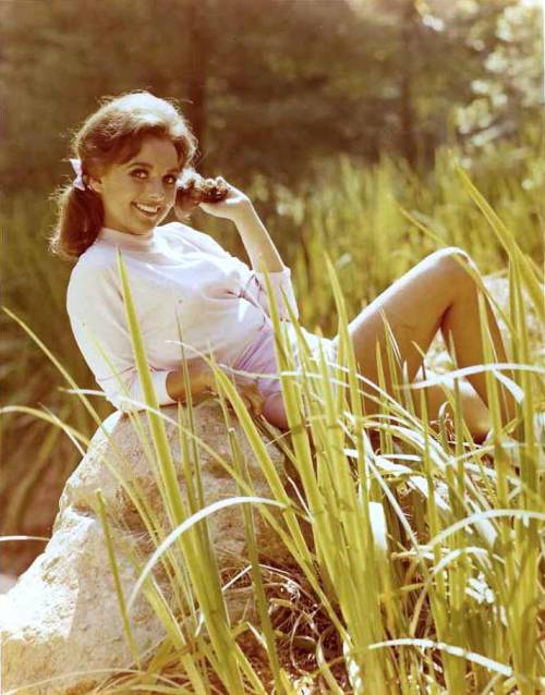 Dawn Wells On Tumblr