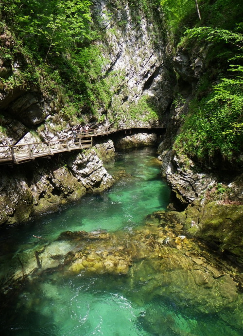 One of the most beautiful river gorges in Europe,... - It's a beautiful