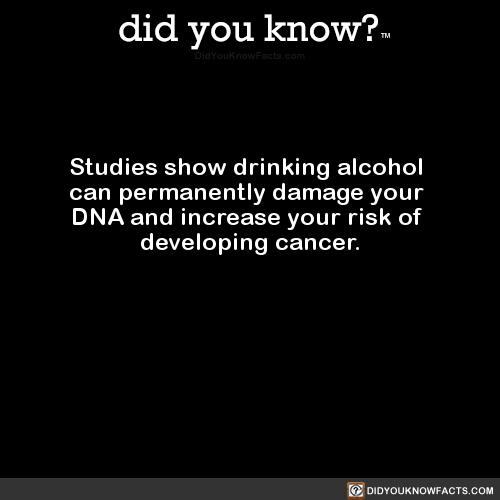 studies-show-drinking-alcohol-can-permanently