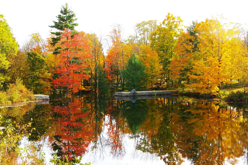 pureblyss - travelingcolors: Fall in New Hampshire (by Ron...