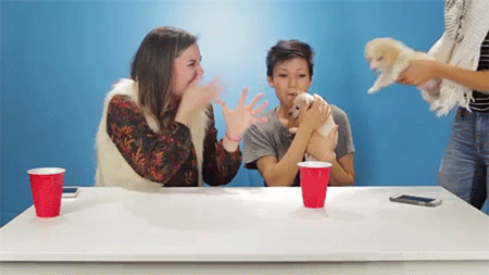 Official Tumblr of BuzzFeed dot com (the website) — sizvideos: Watch drunk people getting ...