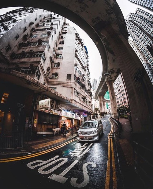 hong kong China street view photography lifestyle lifestyle blog aesthetic travel travel life travel love travel blog wanderlust downtown skyline city life city love asia