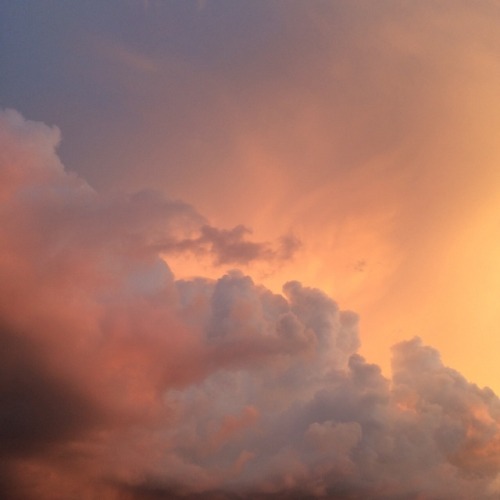 essenceofnatvre:The Sky Is Always Calling 