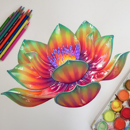Artmaniacs Blog - Colorful Drawings by Morgan Davidson