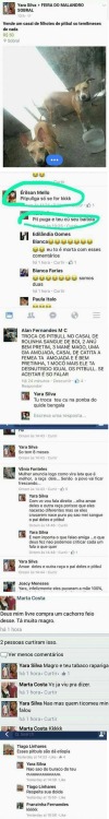 razoesparalargarofacebook:Razão #731 a saga dos filhotes de...