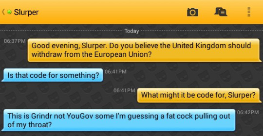 Me: Good evening, Slurper. Do you believe the United Kingdom should withdraw from the European Union?
Slurper: Is that code for something?
Me: What might it be code for, Slurper?
Slurper: This is Grindr not YouGov some I'm guessing a fat cock pulling out of my throat?