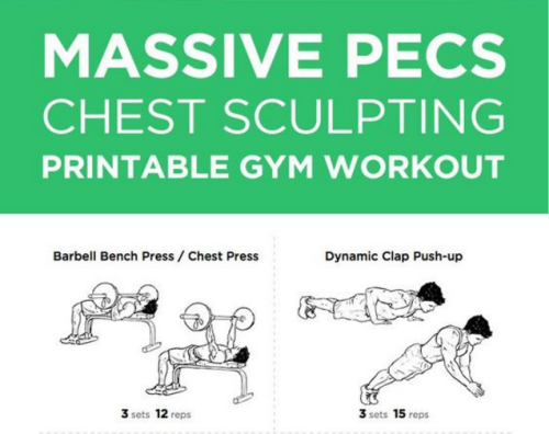 Chest Workout Tumblr