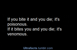 What if it bites me and it dies?