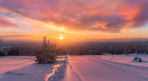 atraversso:Flawless Winter (photoset: by Jørn Allan...