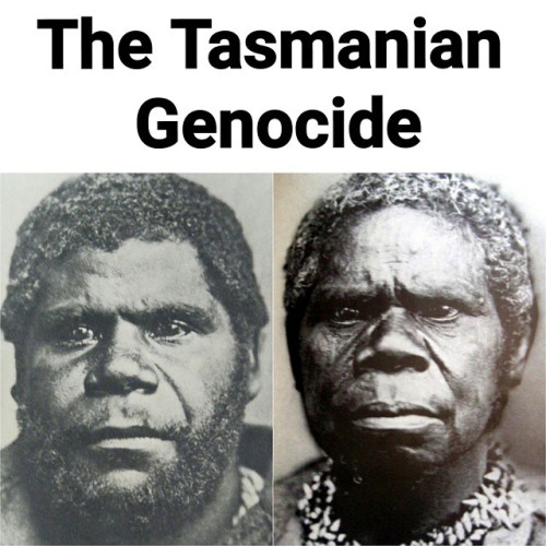 Tasmanian Women 73