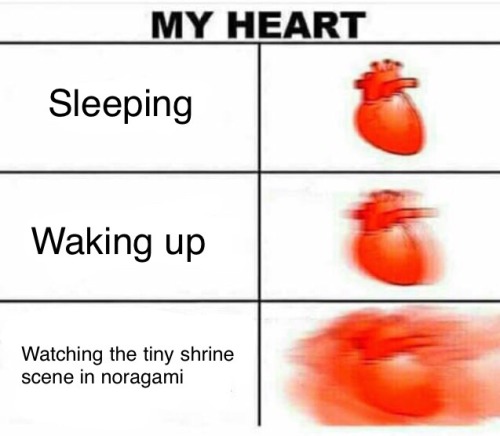 Noragami enthusiast