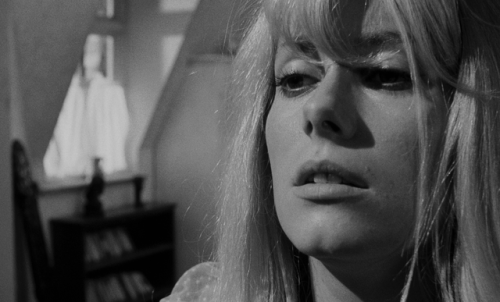 luciofulci:Repulsion (1965) dir. Roman Polanski (x)