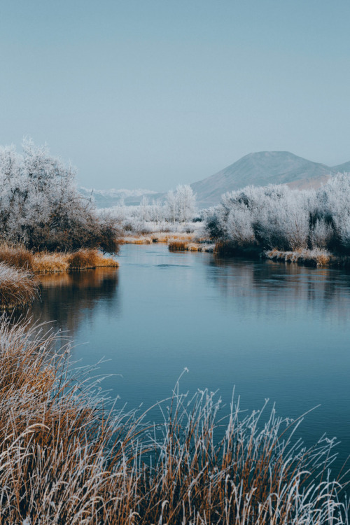 satakentia:calm creekblaine county, idaho, usaby sam...